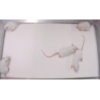 実験小動物用床敷材 パルマス3000／パルマスμ CAGE BEDDING 