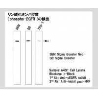 抗原抗体反応増强试剂 AAR SOLUTION Signal Booster Neo 250