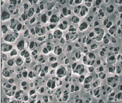 日本advantec醋酸纤维素滤膜c020a047aセルロ